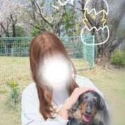 しずえ 4月の予定🗓️ 新宿プチドール