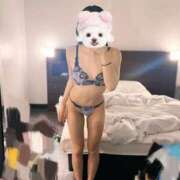 ヒメ日記 2025/04/06 08:19 投稿 てぃあら【S級黒髪変態娘】 Aris（アリス）☆超恋人空間☆沖縄最大級！！