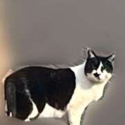 ヒメ日記 2025/03/28 12:26 投稿 わかな アラモード