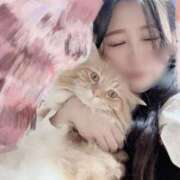 ヒメ日記 2025/03/31 16:27 投稿 わかな アラモード