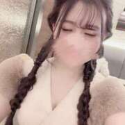 ヒメ日記 2025/04/04 16:34 投稿 わかな アラモード