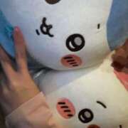 ヒメ日記 2025/04/05 08:54 投稿 わかな アラモード