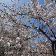 ヒメ日記 2025/04/09 19:33 投稿 わかな アラモード