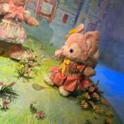 ヒメ日記 2025/04/20 23:56 投稿 わかな アラモード