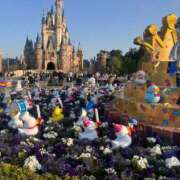 ヒメ日記 2025/04/21 22:50 投稿 わかな アラモード