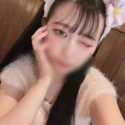 ヒメ日記 2025/04/22 11:29 投稿 わかな アラモード