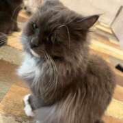 ヒメ日記 2025/04/25 22:34 投稿 わかな アラモード