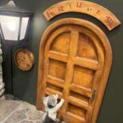 ヒメ日記 2025/04/30 10:11 投稿 わかな アラモード