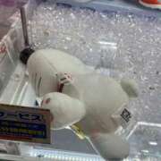 ヒメ日記 2025/05/02 18:21 投稿 わかな アラモード