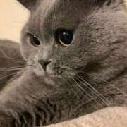 ヒメ日記 2025/05/04 20:38 投稿 わかな アラモード