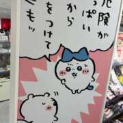 ヒメ日記 2025/05/09 17:03 投稿 わかな アラモード