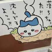 ヒメ日記 2025/05/14 08:57 投稿 わかな アラモード