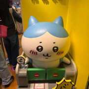 ヒメ日記 2025/05/16 17:50 投稿 わかな アラモード