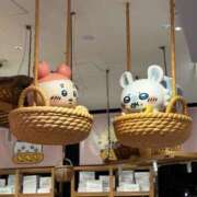 ヒメ日記 2025/05/21 15:58 投稿 わかな アラモード