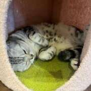 ヒメ日記 2025/05/24 07:50 投稿 わかな アラモード