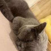 ヒメ日記 2025/05/24 23:53 投稿 わかな アラモード