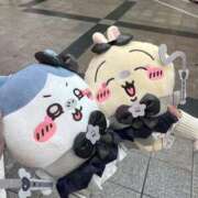 ヒメ日記 2025/05/25 10:14 投稿 わかな アラモード