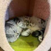 ヒメ日記 2025/06/01 01:26 投稿 わかな アラモード