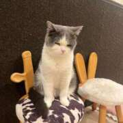 ヒメ日記 2025/06/14 04:01 投稿 わかな アラモード