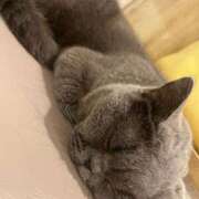 ヒメ日記 2025/06/15 01:37 投稿 わかな アラモード