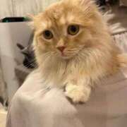 ヒメ日記 2025/06/22 08:01 投稿 わかな アラモード