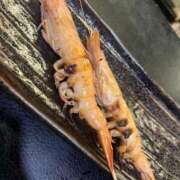 ヒメ日記 2025/06/23 18:01 投稿 わかな アラモード