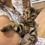 ヒメ日記 2025/07/02 21:19 投稿 わかな アラモード