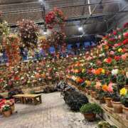 ヒメ日記 2025/07/28 16:05 投稿 わかな アラモード