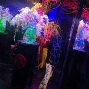 ヒメ日記 2025/08/06 00:41 投稿 わかな アラモード