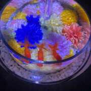 ヒメ日記 2025/08/07 16:22 投稿 わかな アラモード