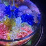 ヒメ日記 2025/08/12 07:23 投稿 わかな アラモード