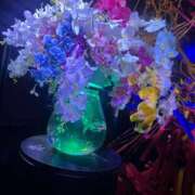 ヒメ日記 2025/08/12 07:43 投稿 わかな アラモード