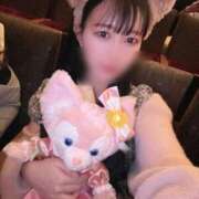 ヒメ日記 2025/08/20 08:21 投稿 わかな アラモード