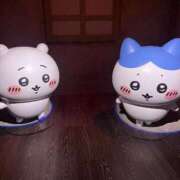 ヒメ日記 2025/08/22 00:45 投稿 わかな アラモード