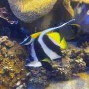 ヒメ日記 2025/08/23 07:30 投稿 わかな アラモード