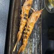 ヒメ日記 2025/09/03 09:20 投稿 わかな アラモード