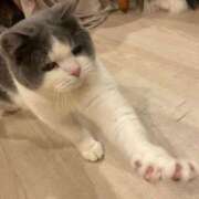 ヒメ日記 2025/09/24 17:02 投稿 わかな アラモード