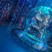 ヒメ日記 2025/10/12 13:22 投稿 わかな アラモード