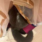 ヒメ日記 2025/10/15 16:15 投稿 わかな アラモード