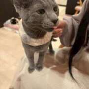 ヒメ日記 2025/10/18 13:15 投稿 わかな アラモード