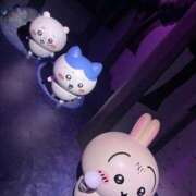 ヒメ日記 2025/11/03 08:25 投稿 わかな アラモード