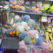 ヒメ日記 2025/11/12 11:49 投稿 わかな アラモード