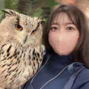 ヒメ日記 2025/11/12 16:02 投稿 わかな アラモード