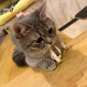 ヒメ日記 2025/11/20 09:30 投稿 わかな アラモード