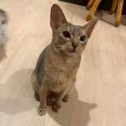 ヒメ日記 2025/11/23 15:32 投稿 わかな アラモード