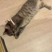 ヒメ日記 2025/12/02 17:21 投稿 わかな アラモード