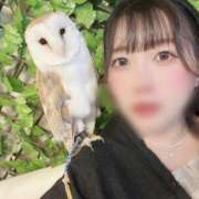 ヒメ日記 2025/12/14 15:26 投稿 わかな アラモード