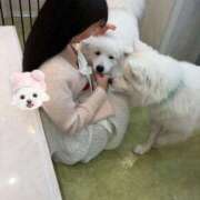 ヒメ日記 2026/02/02 16:04 投稿 わかな アラモード