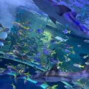 ヒメ日記 2026/02/24 16:59 投稿 わかな アラモード