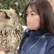 ヒメ日記 2026/03/23 18:31 投稿 わかな アラモード